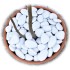 "EnviroPebbles" - Decorative White Pebbles for Pots, Window Boxes and Large Planters (per 0.6 kg)
