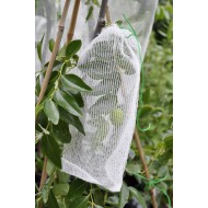 Ten-Pack of Large Fruit Protection Bags (30 cm x 30 cm) - Excludes Insects, Birds and Mammals