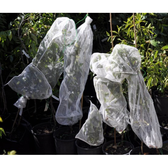 Fruit and Crop Protection Bag and Sleeve Combo - Excludes Fruit Fly, Other Insects, Birds and Mammals