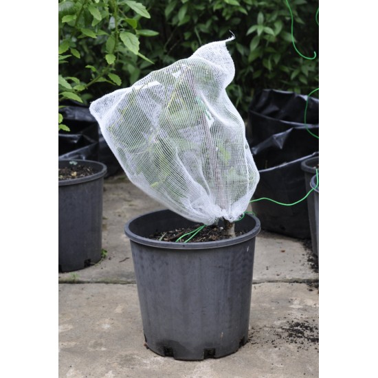 Fruit-Fly Rated Crop Protection Netting (5 m x 2.8 m) - Also Excludes Other Insects, Birds and Mammals