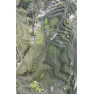 Fruit-Fly Rated Crop Protection Netting (5 m x 2.8 m) - Also Excludes Other Insects, Birds and Mammals