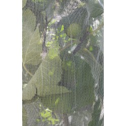 Fruit-Fly Rated Crop Protection Netting (5 m x 2.8 m) - Also Excludes Other Insects, Birds and Mammals