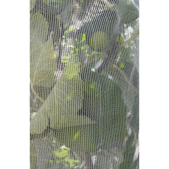 Fruit-Fly Rated Crop Protection Netting (5 m x 2.8 m) - Also Excludes Other Insects, Birds and Mammals