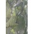 Fruit-Fly Rated Crop Protection Netting (5 m x 2.8 m) - Also Excludes Other Insects, Birds and Mammals