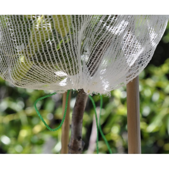 Fruit-Fly Rated Crop Protection Netting (5 m x 2.8 m) - Also Excludes Other Insects, Birds and Mammals