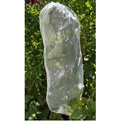 Five-Pack of Large Fruit Protection SLEEVES (30 cm x 90 cm) - Excludes Fruit Fly, Other Insects, Birds and Mammals