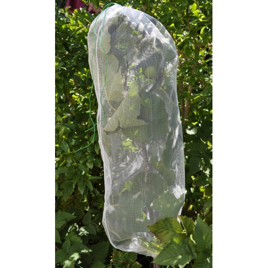 Fruit-Fly Rated Crop Protection Netting (5 m x 2.8 m) - Also Excludes Other Insects, Birds and Mammals