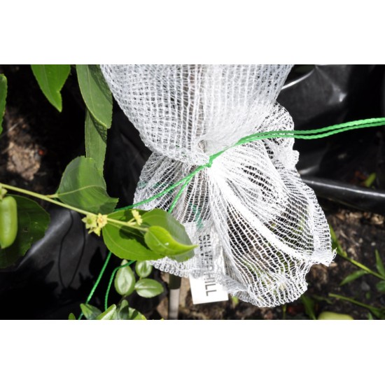 Fruit-Fly Rated Crop Protection Netting (5 m x 2.8 m) - Also Excludes Other Insects, Birds and Mammals