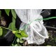 Fruit-Fly Rated Crop Protection Netting (5 m x 2.8 m) - Also Excludes Other Insects, Birds and Mammals