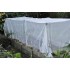 Fruit Fly-Rated Crop Protection NETTING (5 m x 2.8 m) - Also Excludes Other Insects, Birds and Mammals