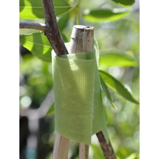 Velcro Brand Tree Tie (5.4 m x 5 cm) - can be cut to any length