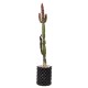 African Milk Tree (Euphorbia trigona forma rubra) in 3 L Air-Pot