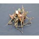 Culinary Galangal (Alpinia galangal) Rhizome Clump Culinary Galangal (Alpinia galangal) Rhizome Clump