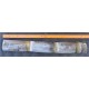 Heirloom Sugarcane (Saccharum sp.) Stem Piece, Cultivar 1 Heirloom Sugarcane (Saccharum sp.) Stem Piece, Cultivar 1