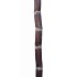 Heirloom Sugarcane (Saccharum sp.) Stem Piece, Cultivar 2