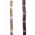 Pair of Heirloom Sugarcane (Saccharum sp.) Stems: Cultivars 1 and 2