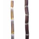 Pair of Heirloom Sugarcane (Saccharum sp.) Stems: Cultivars 1 and 2