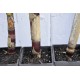 Heirloom Sugarcane (Saccharum sp.) Stem Piece, Cultivar 2 Heirloom Sugarcane (Saccharum sp.) Stem Piece, Cultivar 2