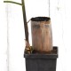 Heirloom Sugarcane (Saccharum sp.) Rooted, Shooting Sugarcane Sett, Cultivar 1