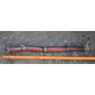 Heirloom Sugarcane (Saccharum sp.)Sugarcane Settling ( Rooted, Shooting  Sett), Cultivar 2