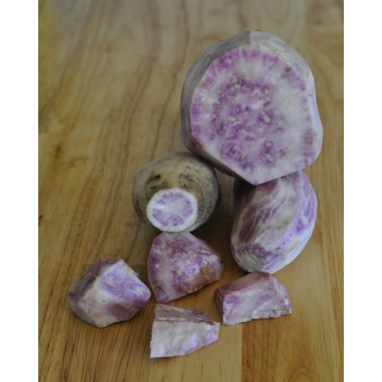 Sweet Potato (Ipomoea batatas) - Hawaiian Sunshine (POTTED) Sweet Potato (Ipomoea batatas) - Hawaiian Sunshine (POTTED)