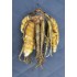 Culinary Turmeric (Curcuma longa) Rhizome Clump