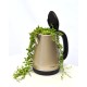 Novelty Plant 'Bubble Tea 1' (Curio rowleyanus x 'Angel Tears')