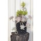 Succulents in 3 L Air-Pot